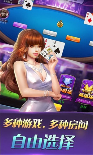 大师斗地主安装