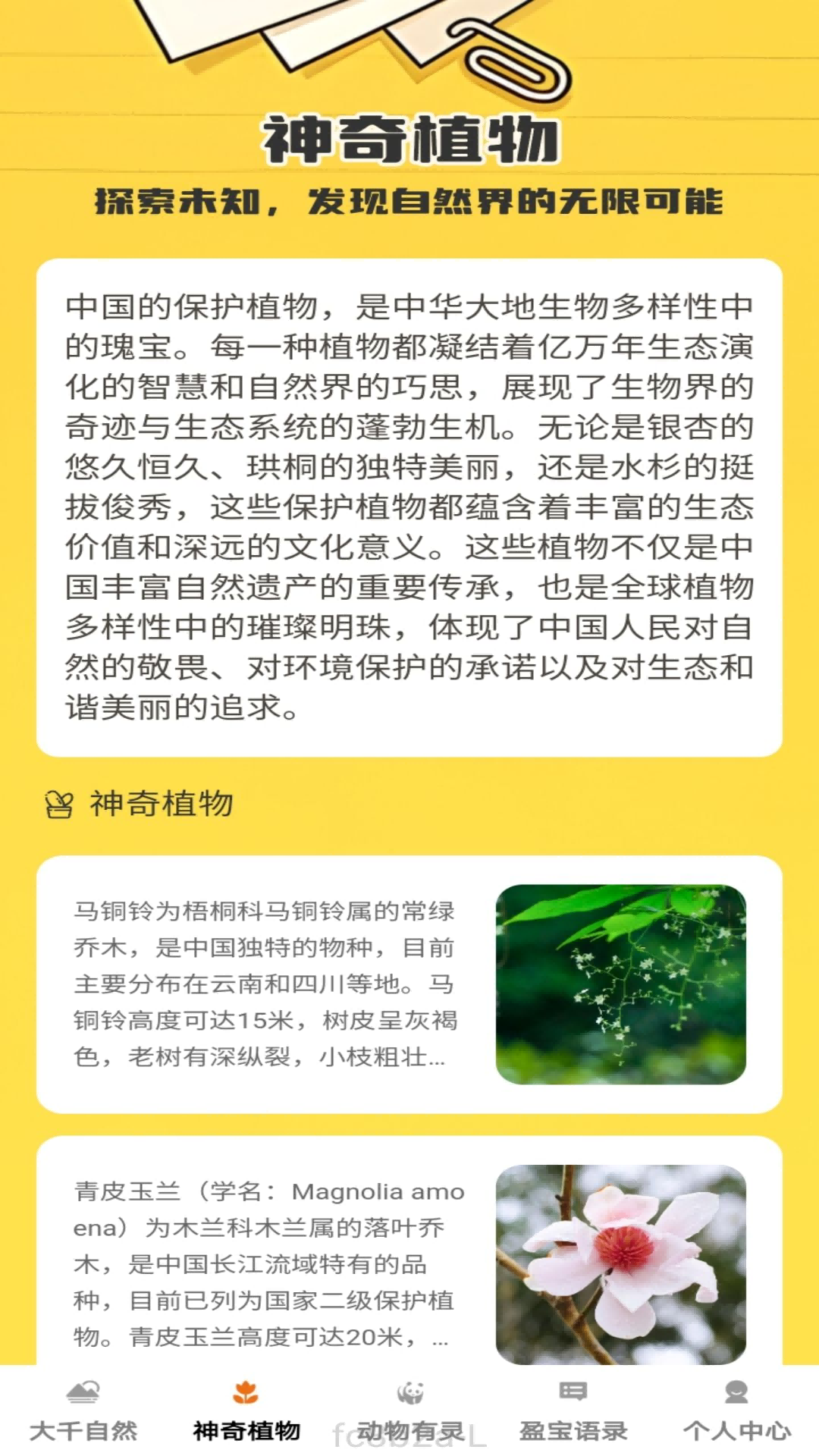 盈宝多多