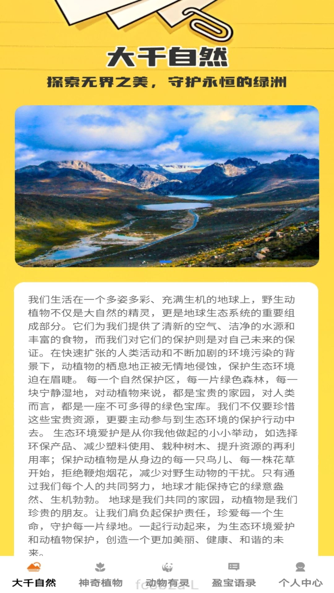 盈宝多多