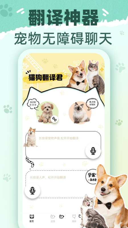 猫狗翻译君