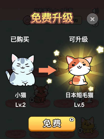 我的小猫在哪里