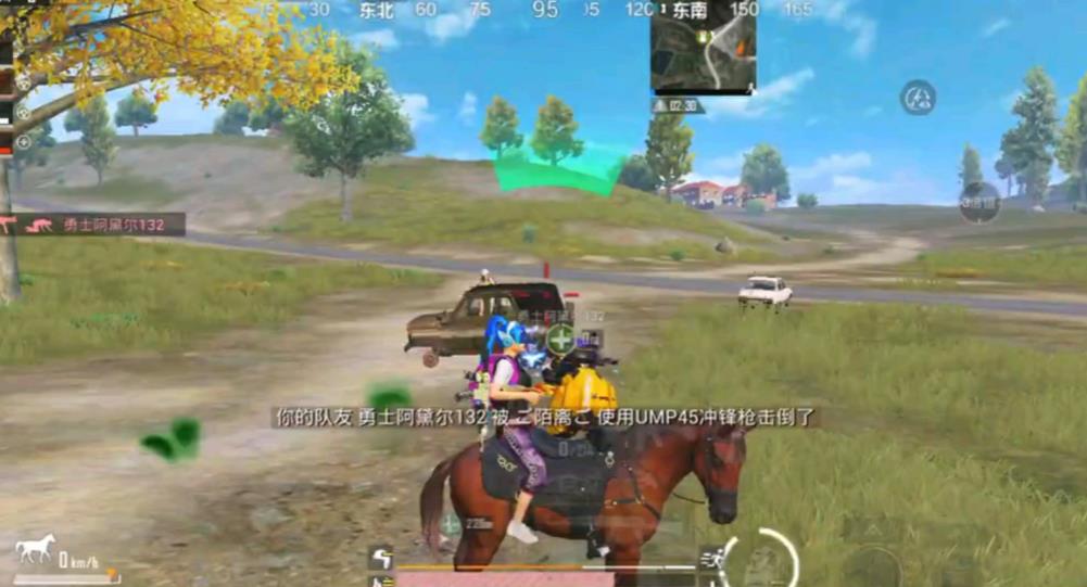 和平精英大神带什么枪