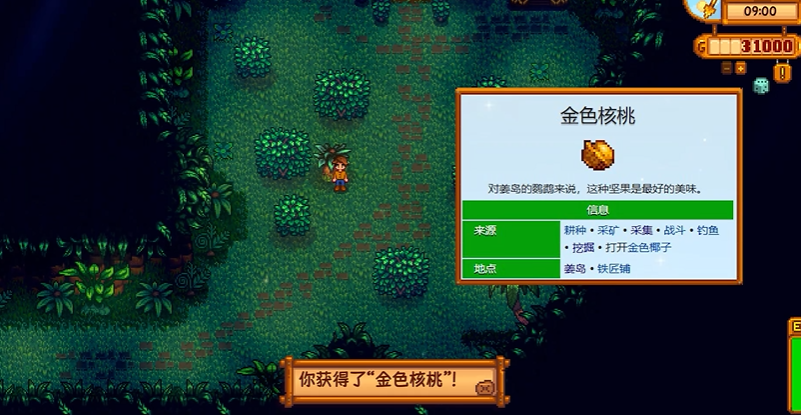 星露谷物语姜岛西侧在哪