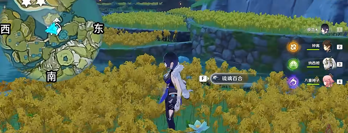 原神琉璃百合在哪