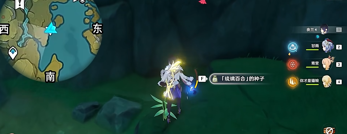 原神琉璃百合在哪