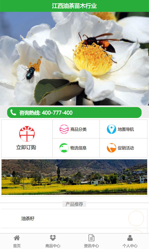 江西油茶苗木行业