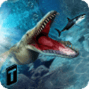 终极海洋食肉动物2016