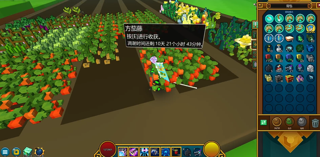 宝藏世界瓶子怎么种植 宝藏世界瓶子怎么种植