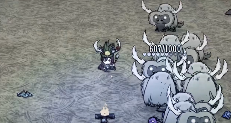 饥荒单机在哪里建家好 饥荒单机在哪里建家好