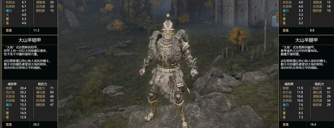 艾尔登法环武士毕业套装是什么