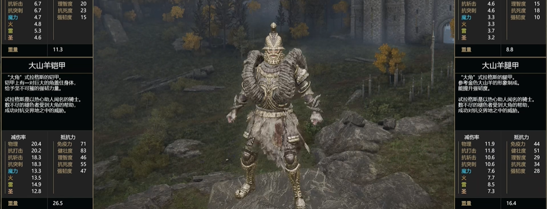 艾尔登法环武士毕业套装是什么