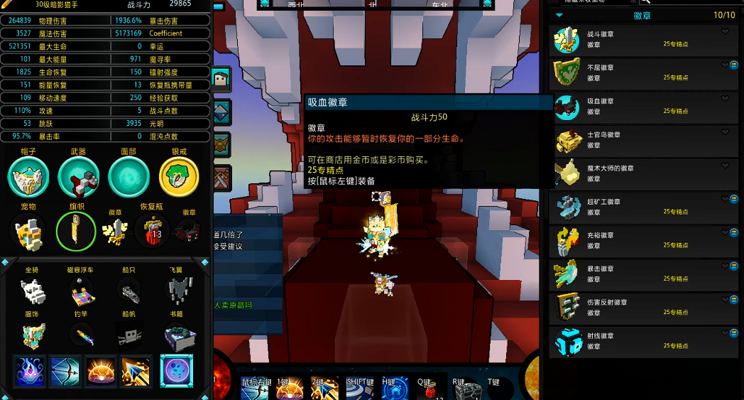 宝藏世界暗影猎手徽章选择什么