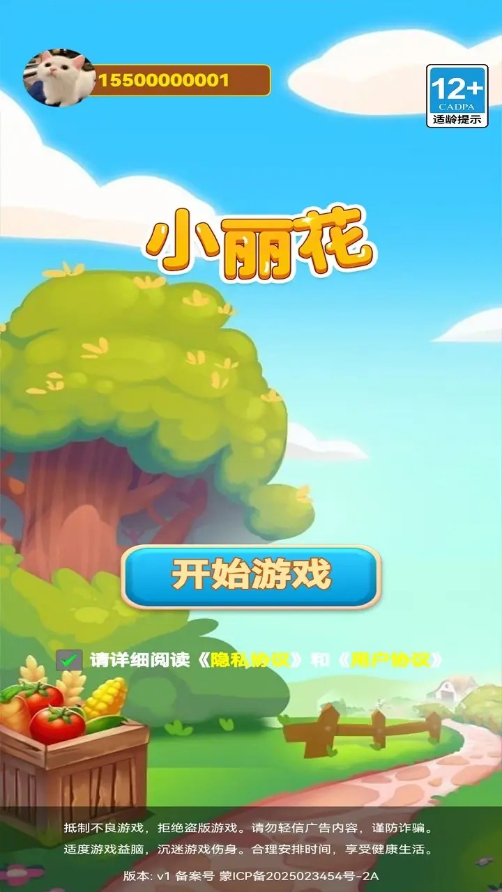 小丽花