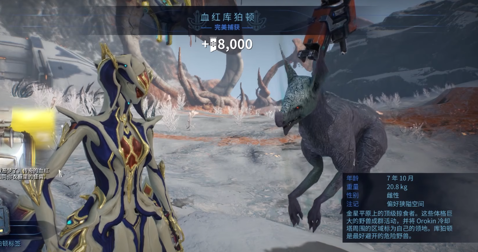 星际战甲小动物怎么抓