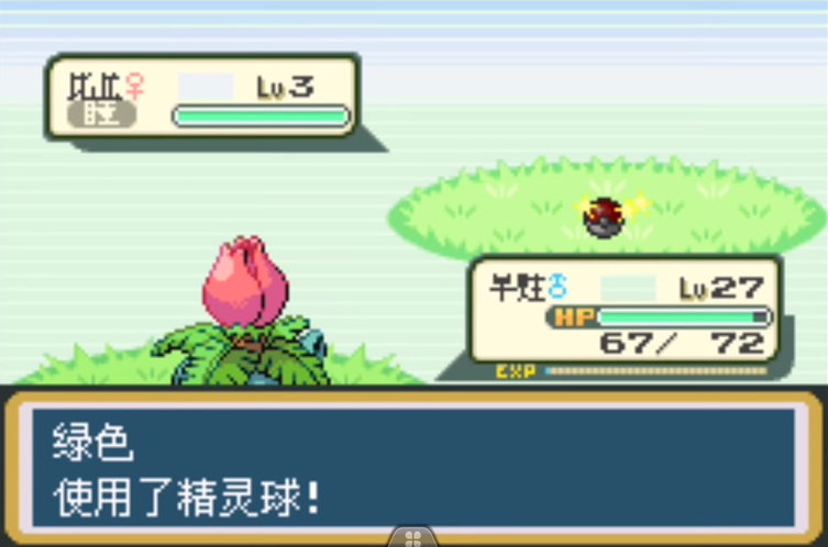 口袋妖怪火红闪光术在哪里得到