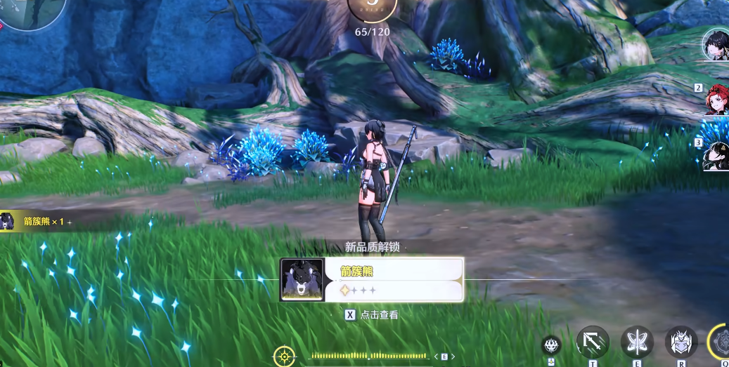 鸣潮箭簇熊培养吗