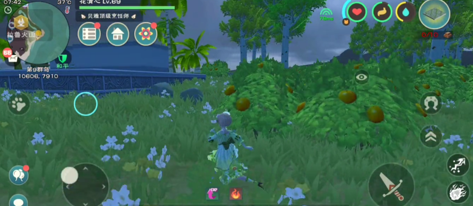 创造与魔法幻想森林在地图哪个位置