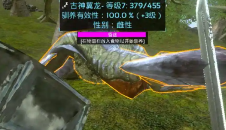 方舟生存进化古神翼龙刷新点在哪里