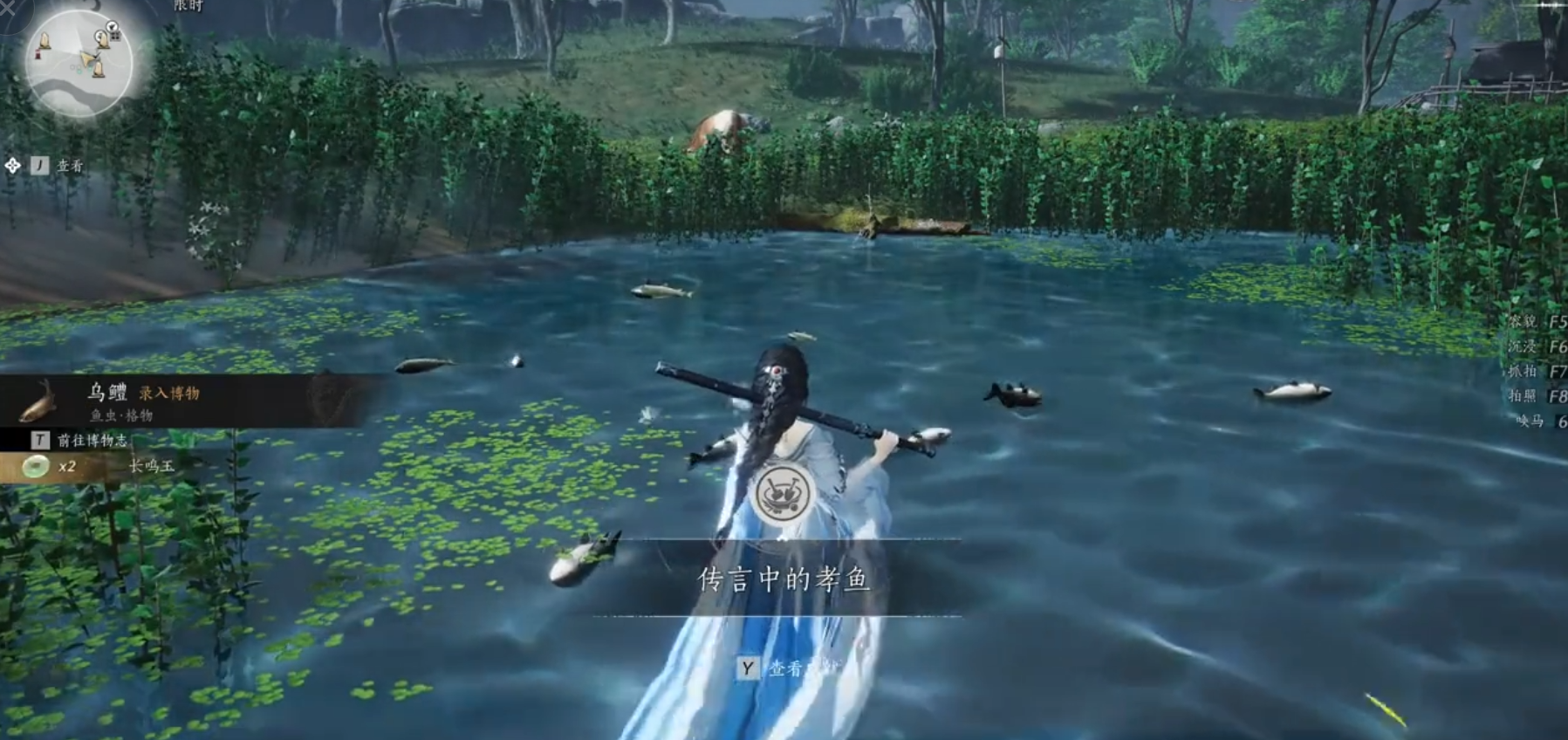 燕云十六声乌鳢怎么钓