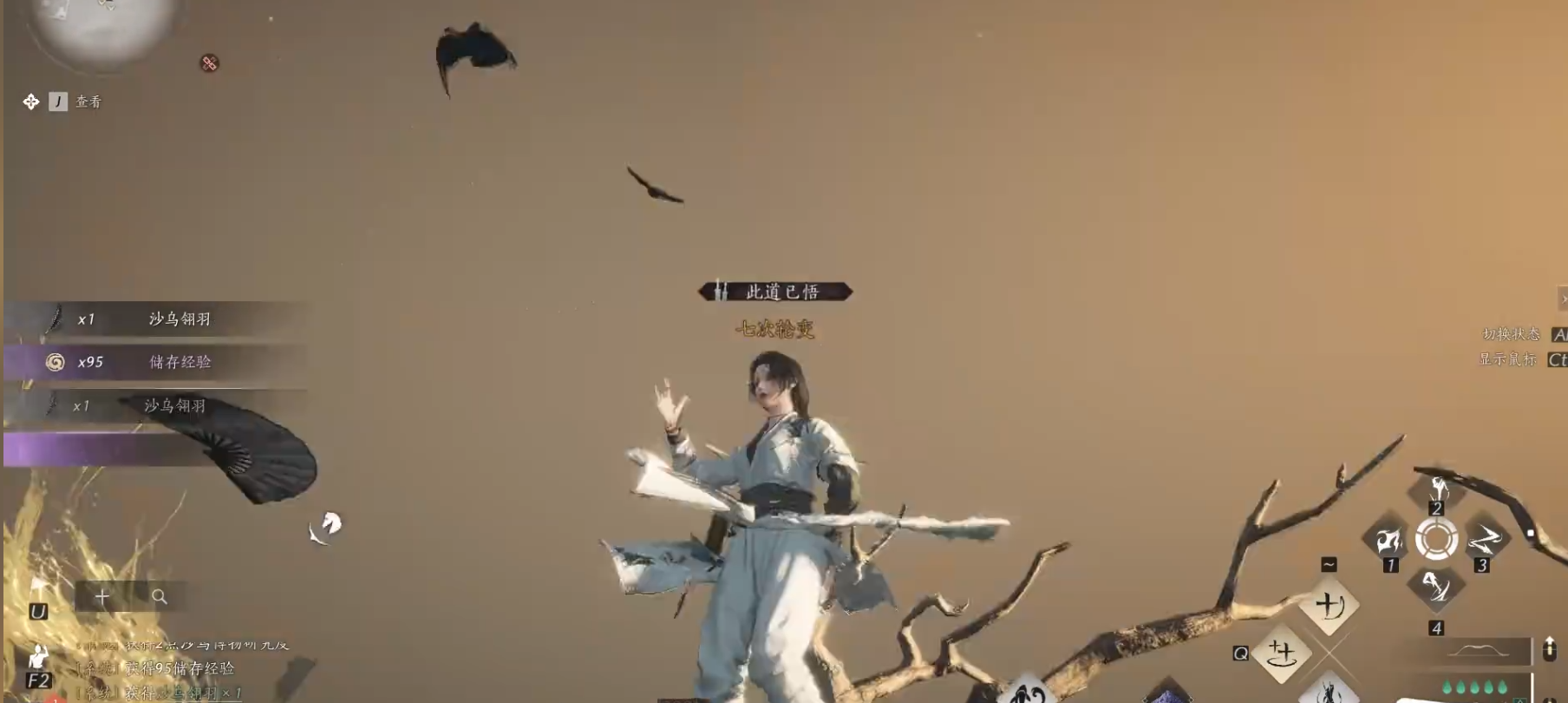 燕云十六声沙乌翎羽怎么刷