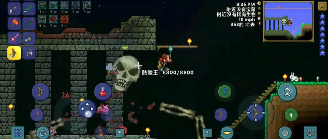 泰拉瑞亚专家骷髅王怎么打