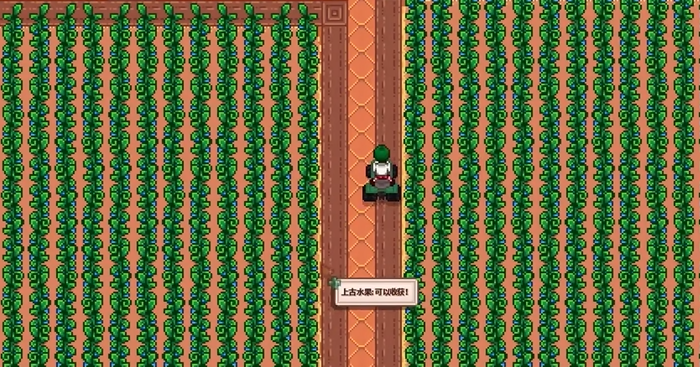 星露谷物语后期怎么赚钱