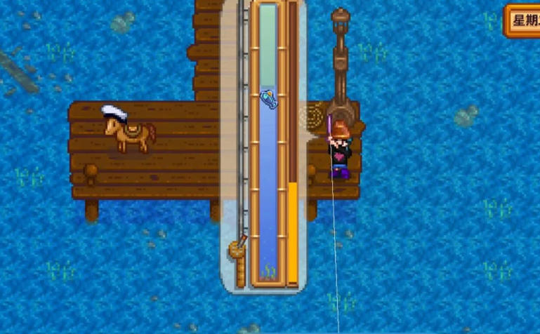 星露谷物语怎么钓到鱼王