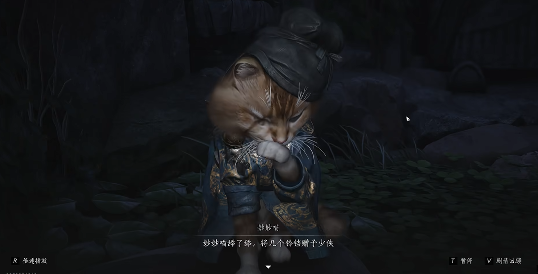 燕云十六声喵喵挑战怎么做