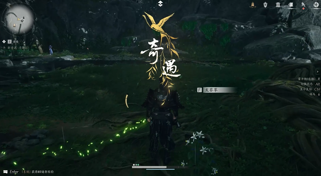 燕云十六声茯苓菌菇在哪