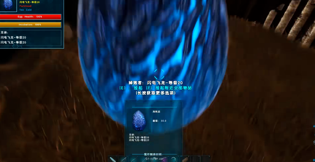 方舟生存进化仙境龙蛋在哪里