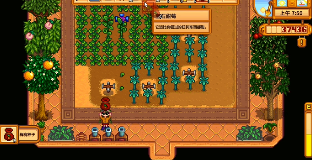 星露谷物语稀有种子怎么种