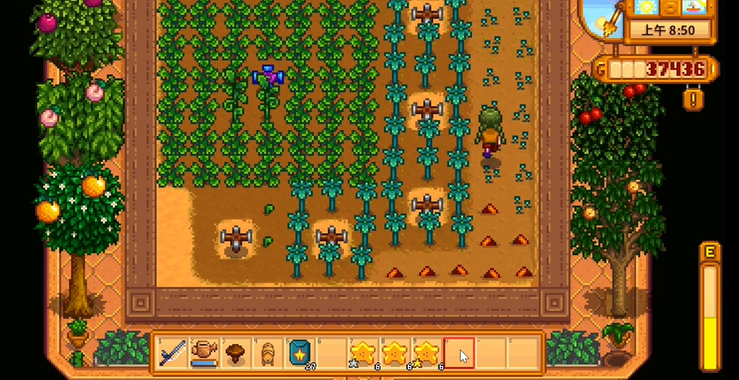 星露谷物语稀有种子怎么种