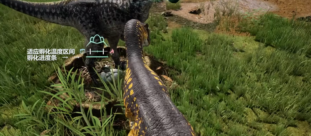 恐龙岛母龙怎么孵蛋