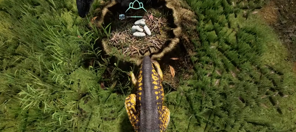 恐龙岛母龙怎么孵蛋