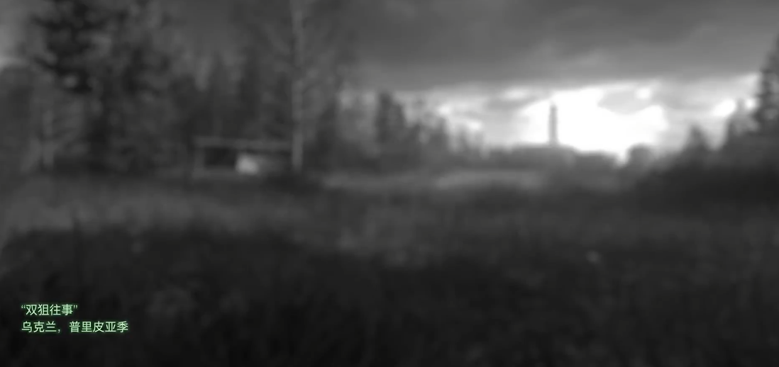 使命召唤4双狙怎么过的