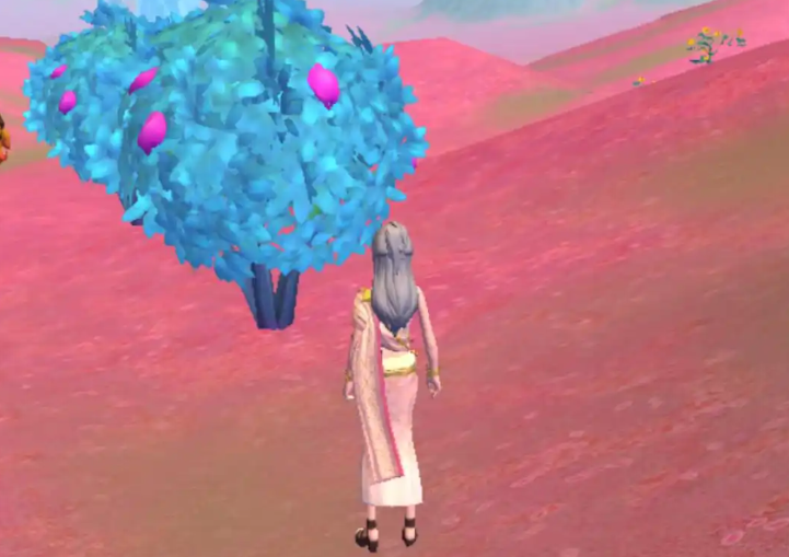 创造与魔法遮天树种子有什么用