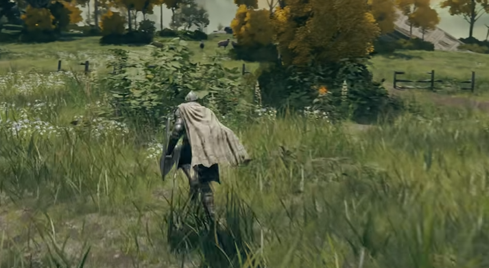 艾尔登法环流浪骑士套装怎么样